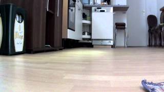 19700104.013129.69.avi