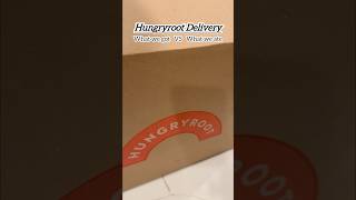 Easy vegetarian meals from HungryRoot
