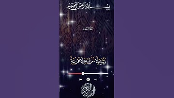 سورة النور بصوت ياسر الدوسري ماهر المعيقلي  عبد الرحمن السديس علي جابر احمد العجمي سعد_الغامدي #قران