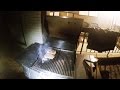 Bbqing steaks vlog  jeremy sciarappa