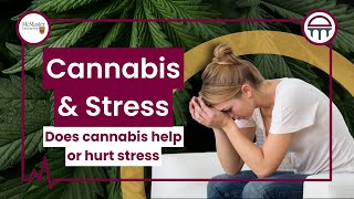 Cannabis And Stress