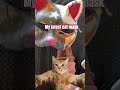 My latest cat mask my fave so far😀