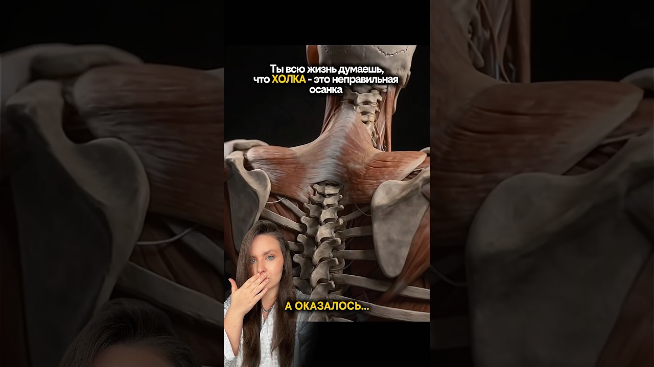 А оказалось кортизол. Снижает его магний: 