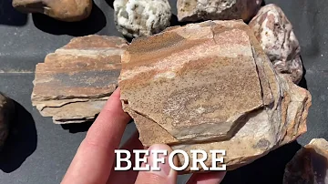 What do you clean petrified wood with?