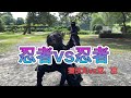 【最強!!忍者の戦い!!】