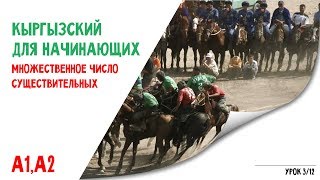 Кыргызский язык для начинающих | Множественное число существительных