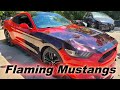 Ford Mustang - Airbrushed Beautiful horses running with flames thumbnail