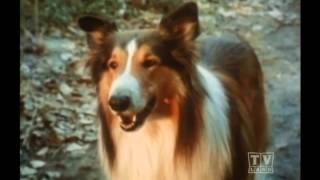 2 Rangers Lassie (Season 15 Eps 22 Walden)