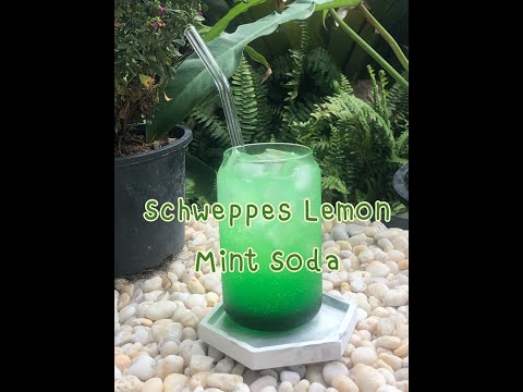 Ice Schweppes Lemon Mint Soda