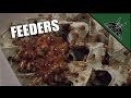 The FEEDERS I use for my animals