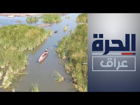 المشحوف أيقونة الأهوار وسيلة للنقل ومصدر رزق للسكان
