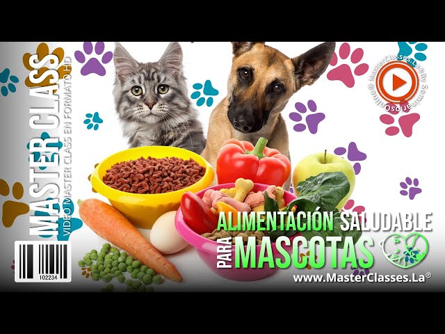 Alimentación Saludable para Mascotas - Llena de salud y amor a tus peludos.