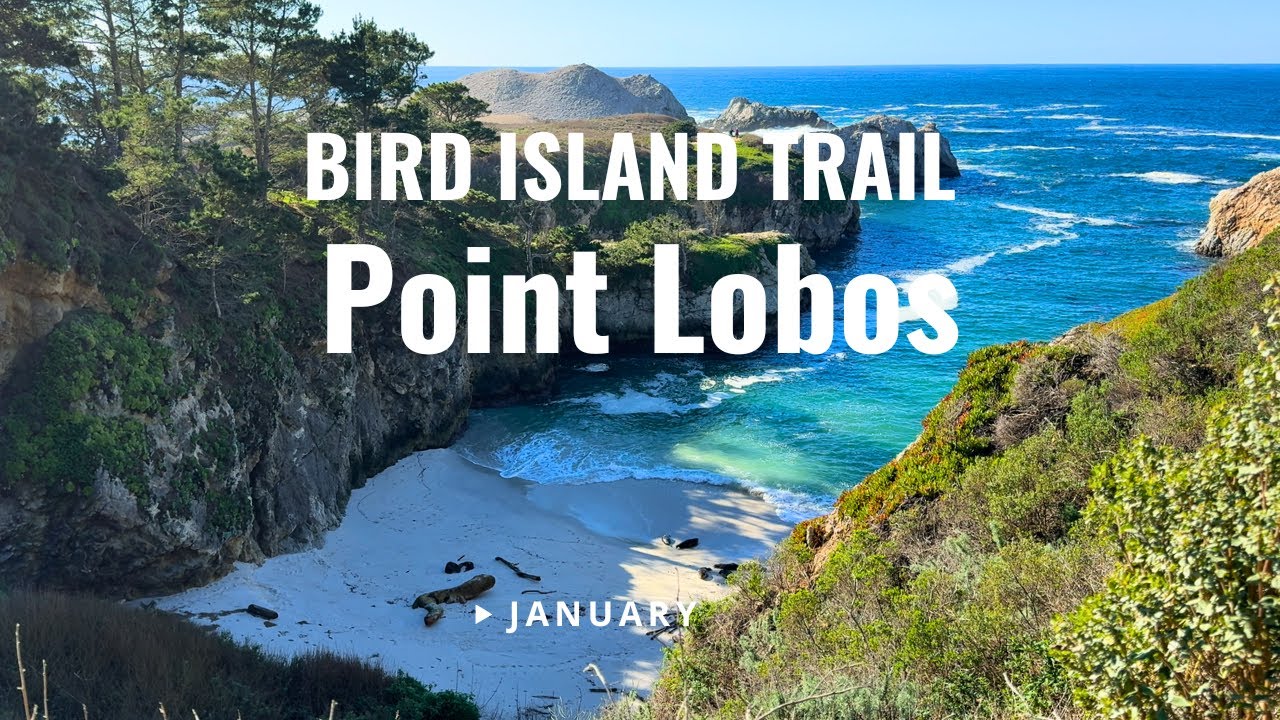 [4K] Point Lobos State Reserve | Bird Island Trail