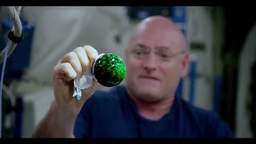 Vibrant Fluid Dynamics: Mesmerizing 4K Video of Colorful Liquids in Space