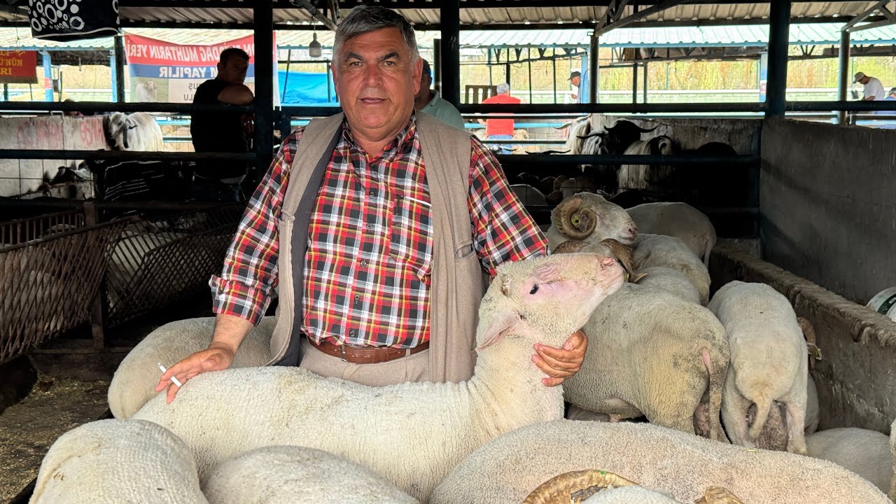 İsabey Bursa 1 Haziran 2025 kime esnaf memnun kime esnaf isyanda bayrama sayılı günler kala