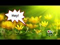 CATV47 LET'S LEARN SOME CHEYENNE "GOOD MORNING"