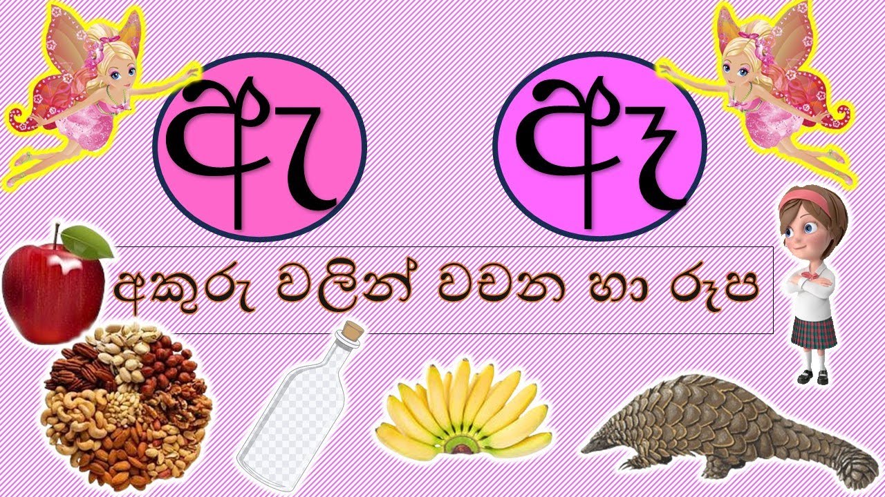 ඇ,ඈ අකුරු වලින් වචන හා රූප සහිතව-#රටා මවමු#sinhala alphabet-සිංහල හෝඩිය ...