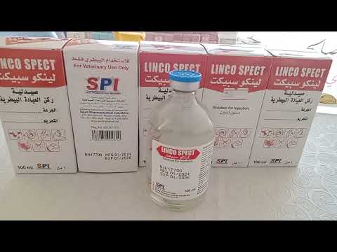 لينكو سبيكت لينكومايسين و سبكتينومايسين