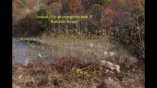 Janacek : On an overgrown path II