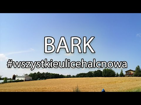 Video: „Bark“ze žaluzií
