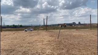 IMG 1611 1