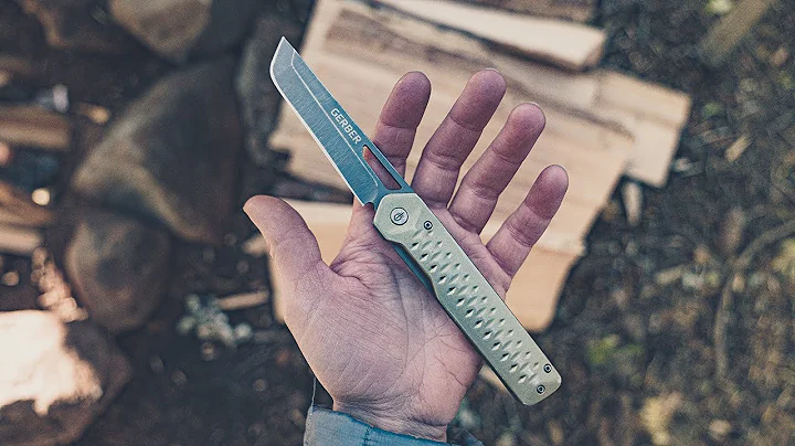 Gerber Ayako: Clip Folding Knife