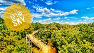 Baumkronenpfad Beelitz - Heilstätten A Relaxing Walk Around Over The Treetops