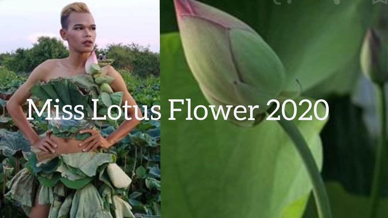 How to design a dress from lotus flowers. YouTube