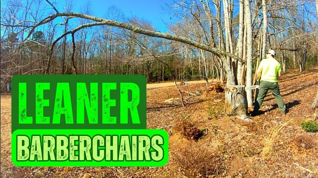 Leaning Tree Almost Got Me | 4 Minutes using STIHL 362 - YouTube