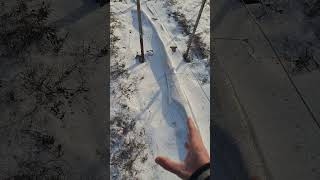 Мінус -30? Не проблема😊 Олександр і Сад
