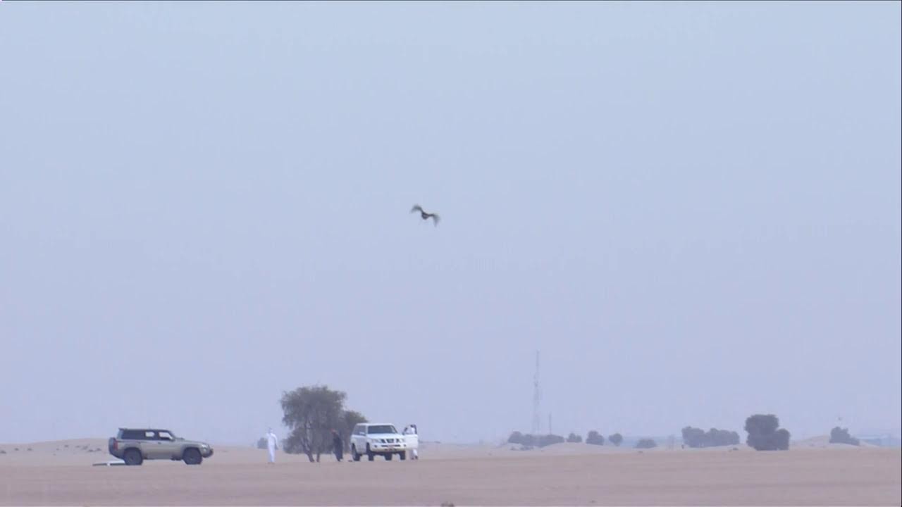 بطولة فزاع للهدد 2026 - الشوط الختامي الأول