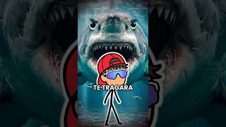 Cómo Escapar de un Tiburón! 🦈