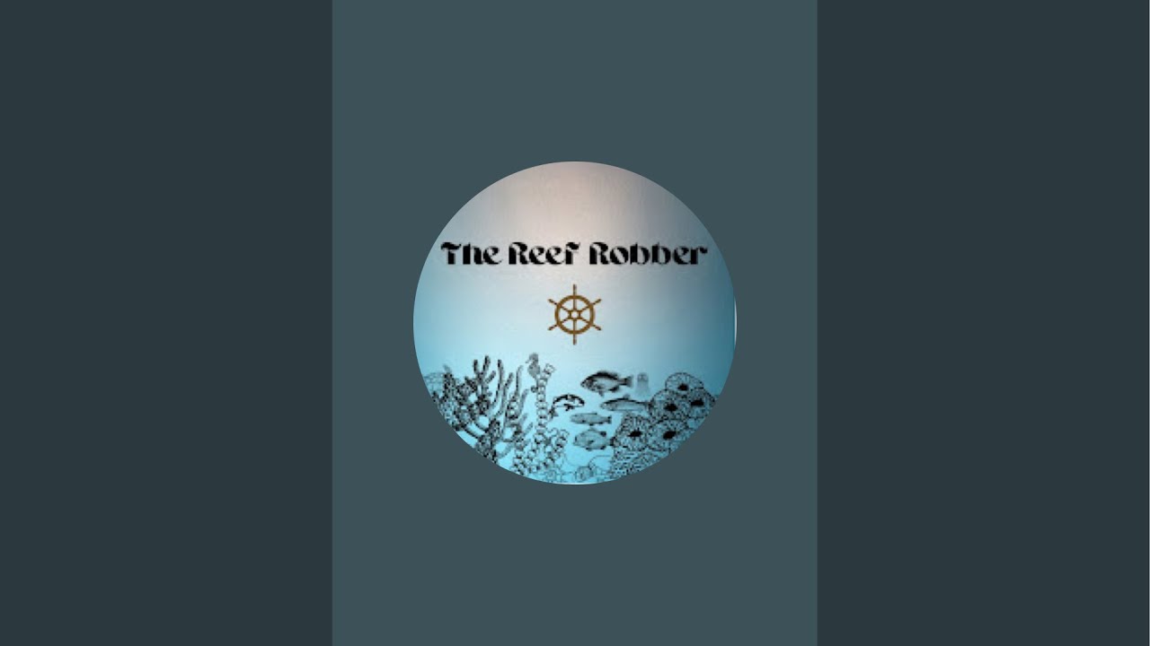 The Reef Robber is live! Bass Fishing #fishing #bass #creek