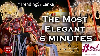 Trending Sri Lanka - The Most Elegant 6 MINUTES | Kandy Esala Perahara  ලංකාවට ආදරේ වැඩිවෙන විනාඩි 6 by Pet Talk 1,647 views 7 months ago 7 minutes, 22 seconds