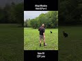 Disc Golf at Alsop Meadow - Hole 10 #discgolf #dog