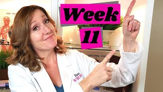 Baby Ultrasound Week 11, Plus Baby Development and Pregnancy Symptoms