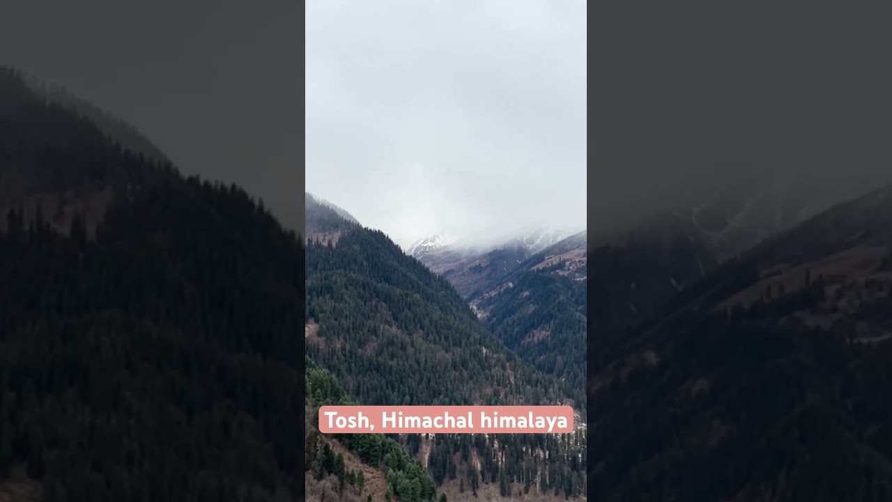 #ДолинаПарвати