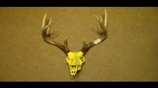Deer Skull Dipping With Spray Paint (DIY Hydro Dipping)