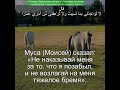 Сура Аль-Кахф 18:73 | Чтение Корана с русским переводом| Quran Translation Surah Al-Kahf  الكهف