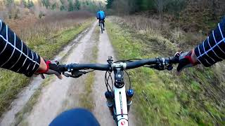 Mountain Biking At Dalby Forest