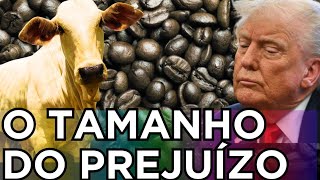 QUAIS PRODUTOS FICARAM DENTRO DOS 50 Tarifaco AFETARA APENAS 35 das exportacoes 