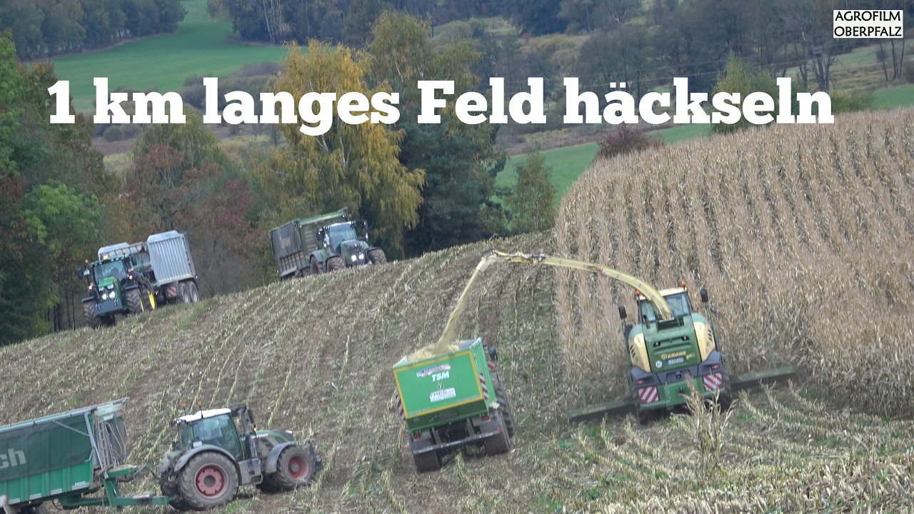 30 Min PURE HÄCKSELLUST - 1 km langes Feld muss weg - Frauenpower -Krone BigX 630 - C-Dietl.lu