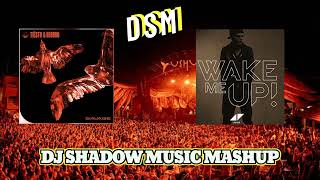 Savage & Wake Me Up (DJ Shadow Music Mashup) | Tiësto , Avicci , Deorro,