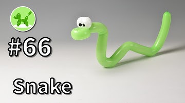 Snake - Balloon Animals for Beginners #66