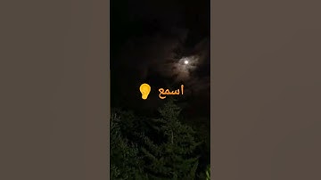 #عبدالرحمن_مسعد_تلاوة_جديدة #shortvideo #اكتب_شي_تؤجر_عليه #راحة_نفسية #قرآن #reels #اكسبلور #اجر_لك