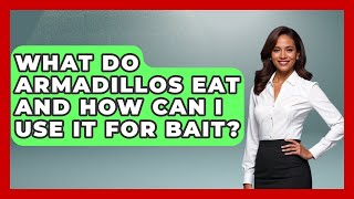 What Do Armadillos Eat And How Can I Use It For Bait - Chasing Big Fish