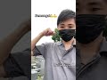 Bersihin makam di Jepang