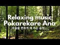 Relaxing music Pokarekare Ana #포카레카레아나 #pokarekareana repeat play 반복재생