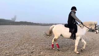 E riders Dec 2025 - BD Intro 3 - Amy Warnes - Branchfield Star