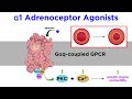Vasopressin and Vasoconstrictors in Medicine